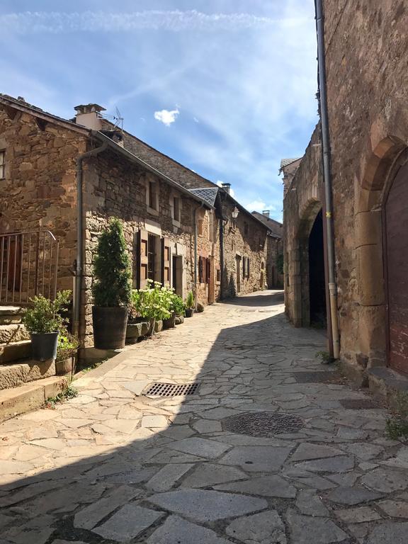 La Petite Maison Des Artistes Castelnau-Pégayrols Oda fotoğraf