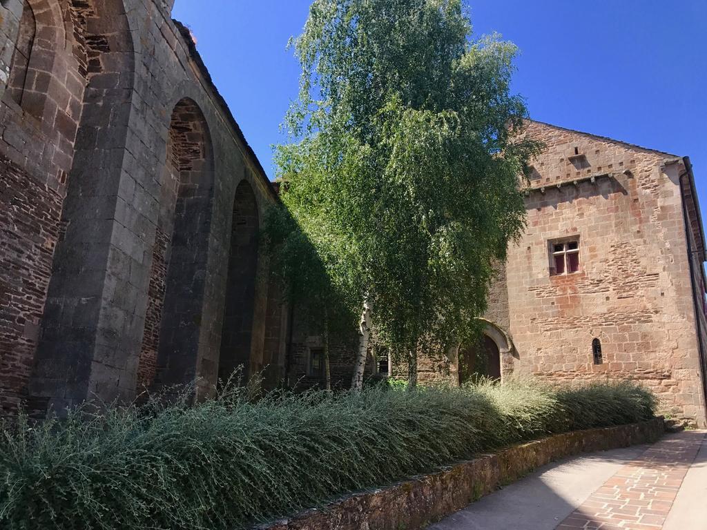 La Petite Maison Des Artistes Castelnau-Pégayrols Oda fotoğraf