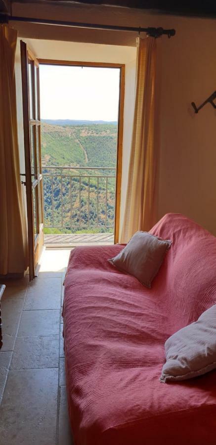 La Petite Maison Des Artistes Castelnau-Pégayrols Dış mekan fotoğraf