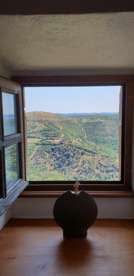 La Petite Maison Des Artistes Castelnau-Pégayrols Dış mekan fotoğraf